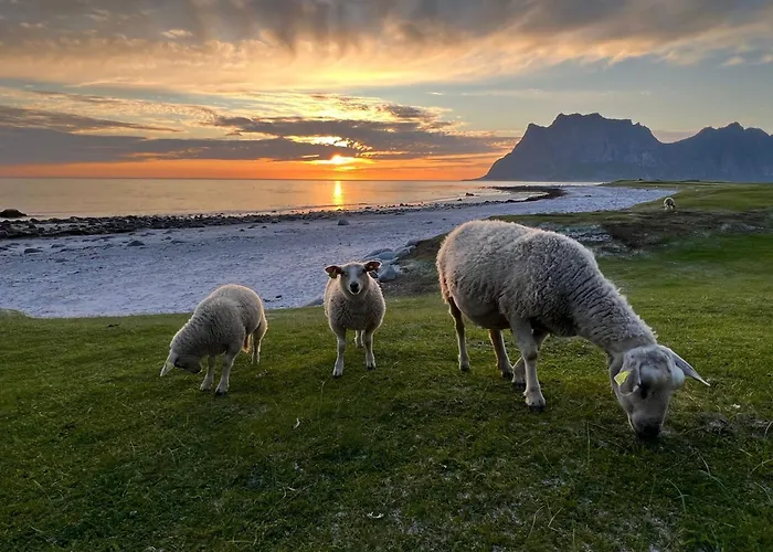 Fisherman\'S Cabin, Lofoten - 26 Ivarbua